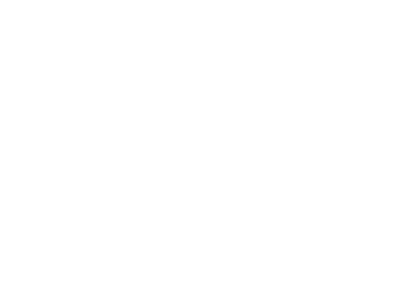 Sladovňa Pressburg Beer Restaurant, since 2008